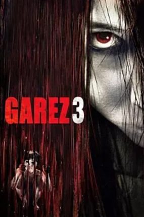 Garez 3